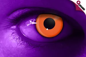 huge_700x420__15582.png